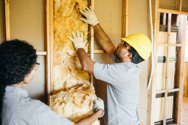 Best Spray Foam Insulation  in Mikes, TX